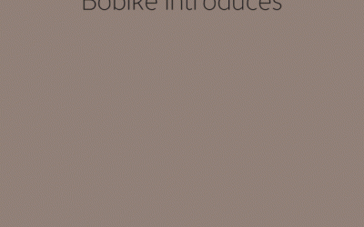 NUEVO PORTABEBE BOBIKE EXCLUSIVE